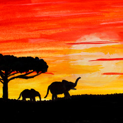 African Sunset