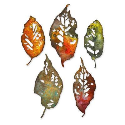 Sizzix Thinlits Die Set - Leaf Fragments