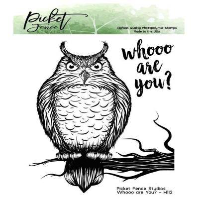Picket Fence Studios Clear Stamps - Whooo are You?