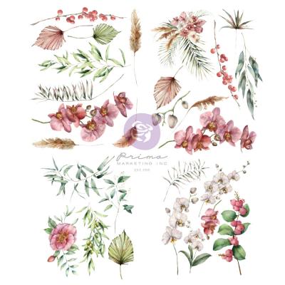 Prima Marketing Sharon Ziv Transfers - Orchidea
