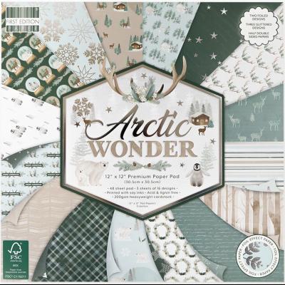 First Edition Arctic Wonder Designpapier - Paper Pad