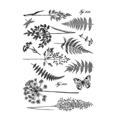 Crafty Individuals Rubber Stamp - Ferns And Grasses Reissued