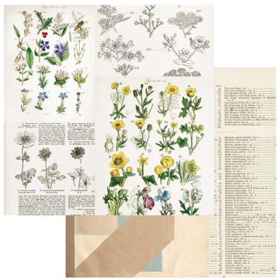 49 and Market Curators Botanical Designpapier - Pressed Petals