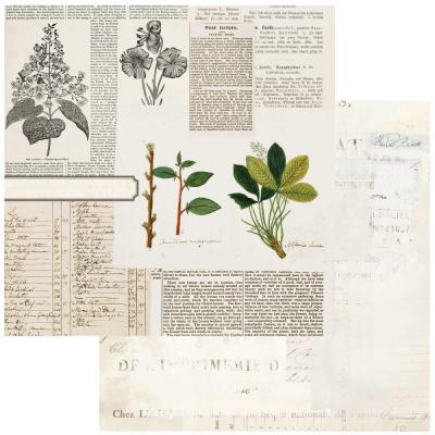 49 and Market Curators Botanical Designpapier - Florilegia