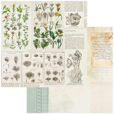 49 and Market Curators Botanical Designpapier - Anthology