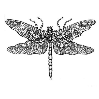 Crafty Individuals Rubber Stamp - Dragonfly Drawing