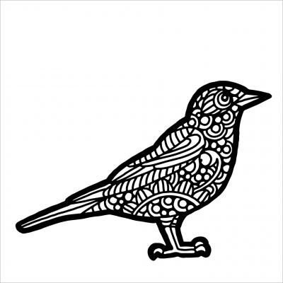 The Crafter's Workshop Stencil - American Robin
