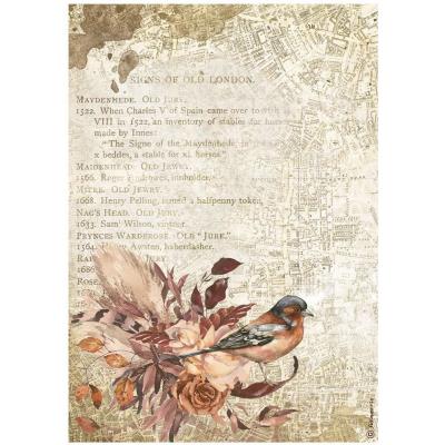 Stamperia Our Way Spezialpapier - Bird - Reispapier