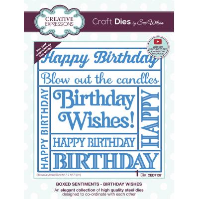 Creative Expressions Craft Dies - Boxed Sentiments Birthday Wishes
