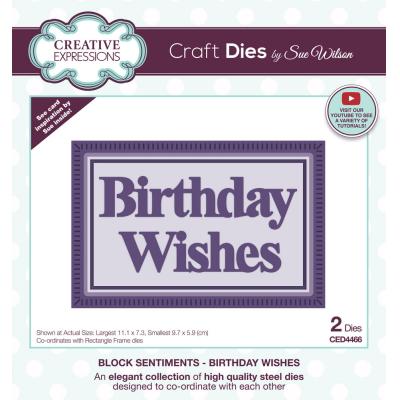 Creative Expressions Sue Wilson Craft Dies - Birthday Wishes