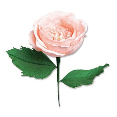Sizzix Thinlits Jess Slack Die Set - Garden Rose