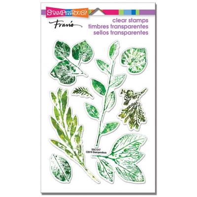 Stampendous Clear Stamps - Leafy Imprint