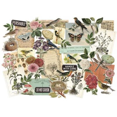 Idea-ology Tim Holtz Die Cuts - Organic