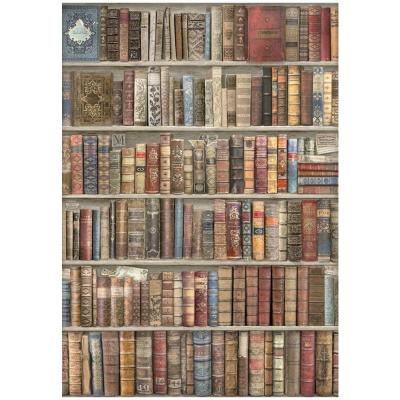 Stamperia Vintage Library Spezialpapier - Bookcase