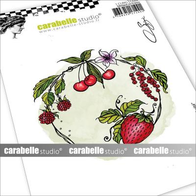 Carabella Studio Cling Stamps - Kreis aus Früchten