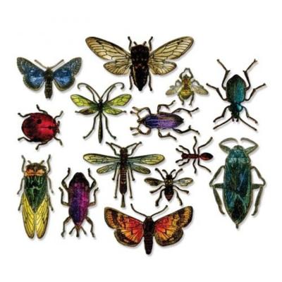 Sizzix Thinlits Die - Entomology
