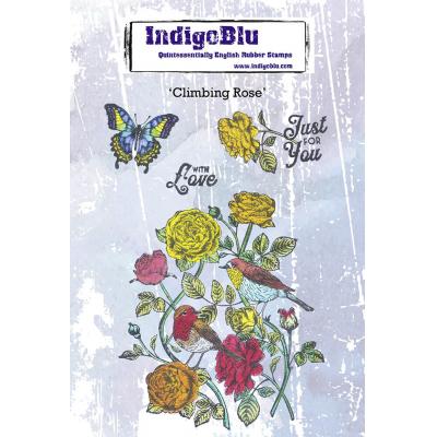 IndigoBlu Stempel - Climbing Rose