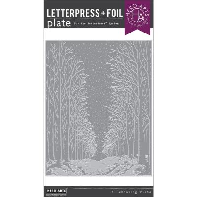Hero Arts Letterpress & Foil Plate Snowy Night