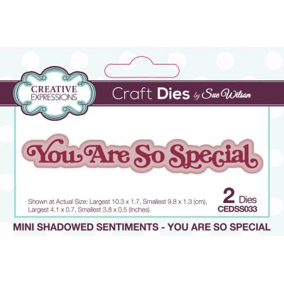 Creative Expressions Craft Die - Mini Shadowed Sentiments You Are So Special