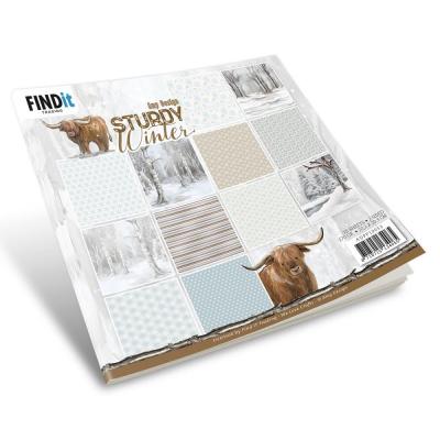 Find It Trading Paper Pack - Sturdy Winter