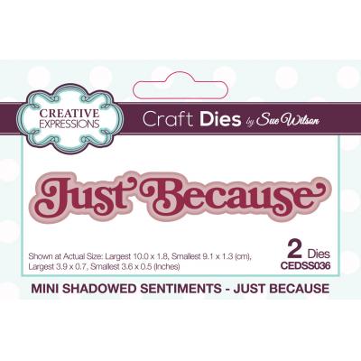 Creative Expressions Craft Die - Mini Shadowed Sentiments Just Because
