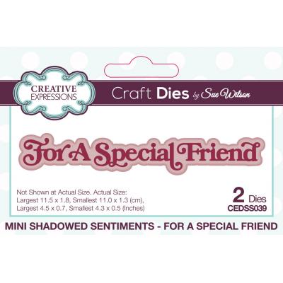 Creative Expressions Craft Die - For A Special Friend