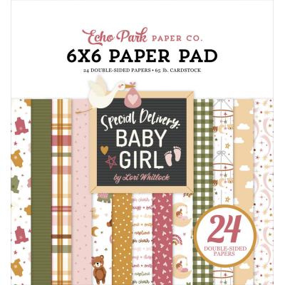 Echo Park Special Delivery: Baby Girl - Paper Pad