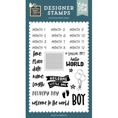 Echo Park Special Delivery: Baby Boy - Baby Boy Stats