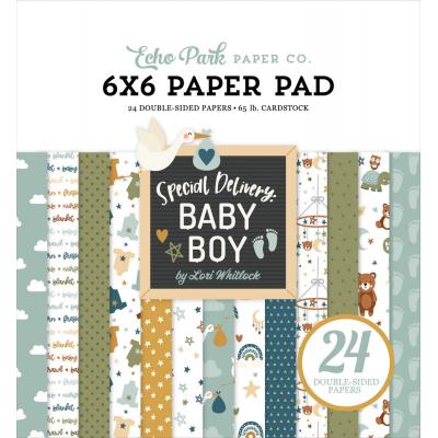 Echo Park Special Delivery: Baby Boy - Paper Pad