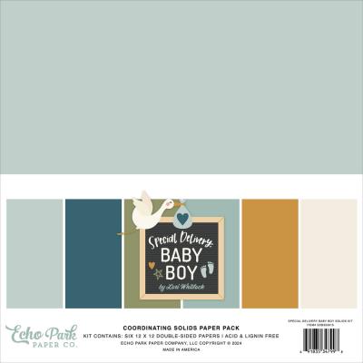 Echo Park Special Delivery: Baby Boy - Coordinating Solids