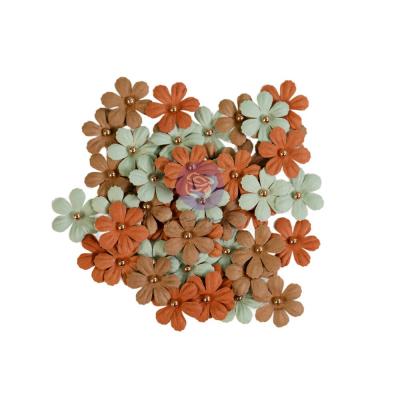 Prima Marketing Nature Academia - Beautiful Mineral