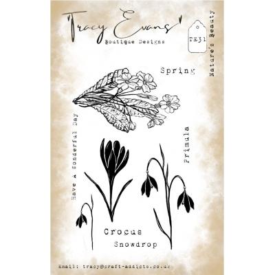 Tracy Evans Stempel - Nature's Beauty