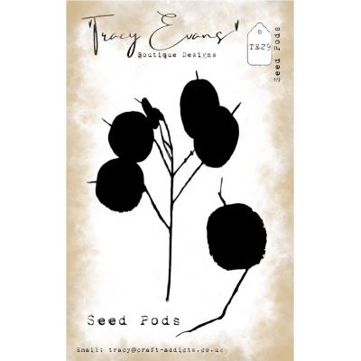 Tracy Evans Stempel - Seed Pods