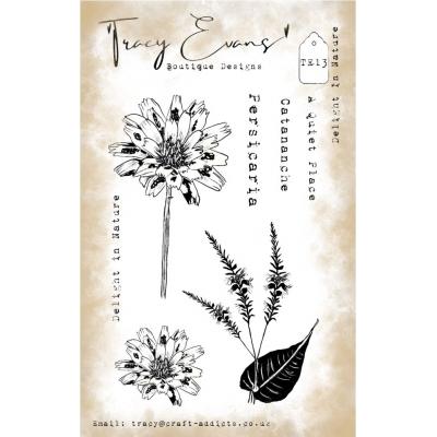Tracy Evans Stempel - Delight In Nature