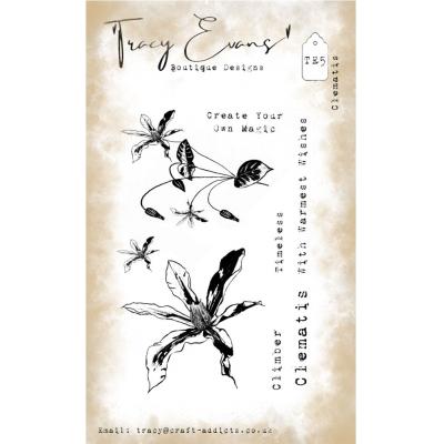 Tracy Evans Stempel - Clematis