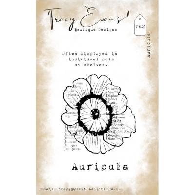 Tracy Evans Stempel - Auricula