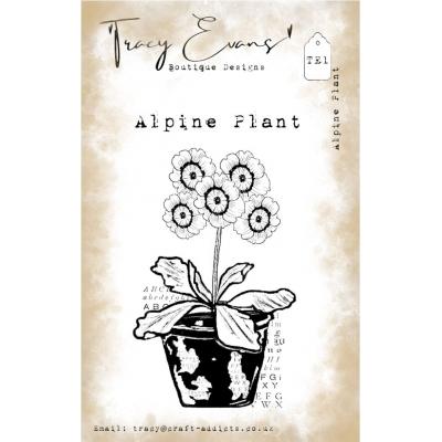 Tracy Evans Stempel - Alpine Plant
