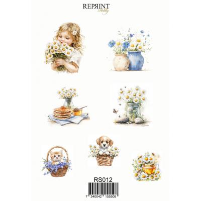 Reprint Sticker - Daisies