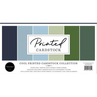Carta Bella Printed Cardstock - Cool