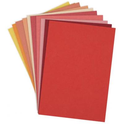 Spellbinders Paper Arts Assortment ColorWheel Cardstock - Warm