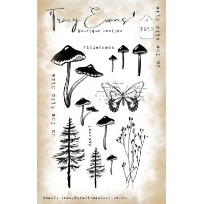 Tracy Evans Stempel - On The Wild Side