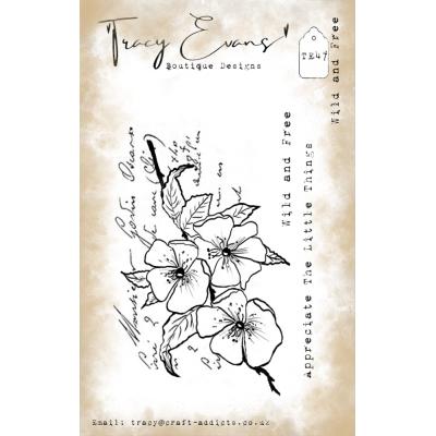 Tracy Evans Stempel - Wild and Free