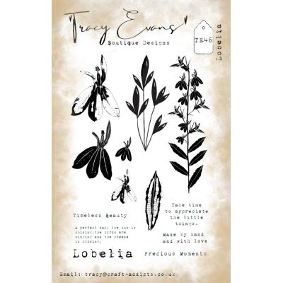 Tracy Evans Stempel - Lobelia