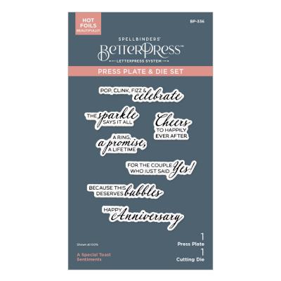 Spellbinders Press Plates & Die Set - A Special Toast Sentiments