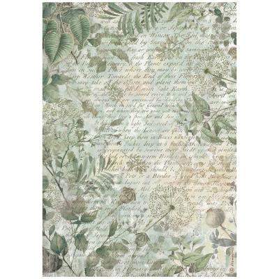 Stamperia Herbarium Silvae Rice Paper - Leaves Background
