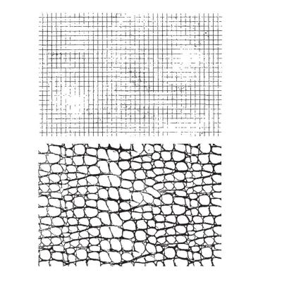 Stampers Anonymous Tim Holtz Stempel - Graph & Croc