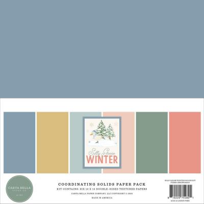 Carta Bella Silly Goose Winter - Coordination Solids